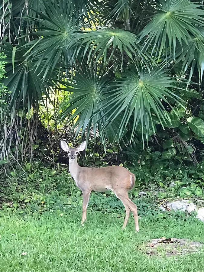 Villa Coba Playa del Carmen